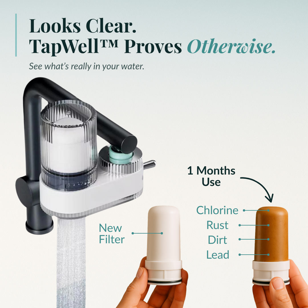 TapWell™ Water Filter Kit