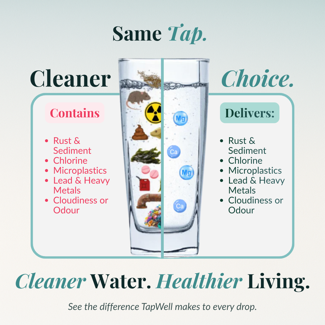 TapWell™ Replacement Filter Cartridge