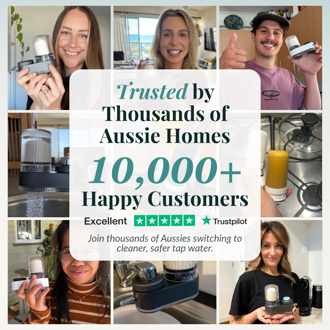 TapWell™ Water Filter Kit