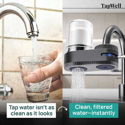 TapWell™ Water Filter Kit