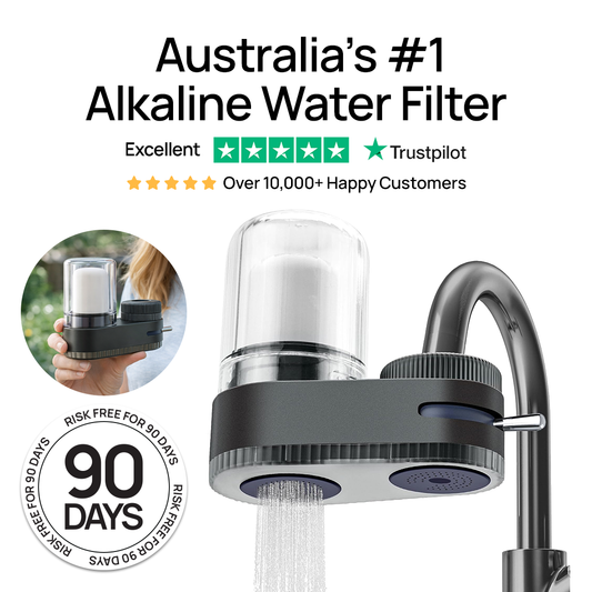 TapWell™ Water Filter Kit
